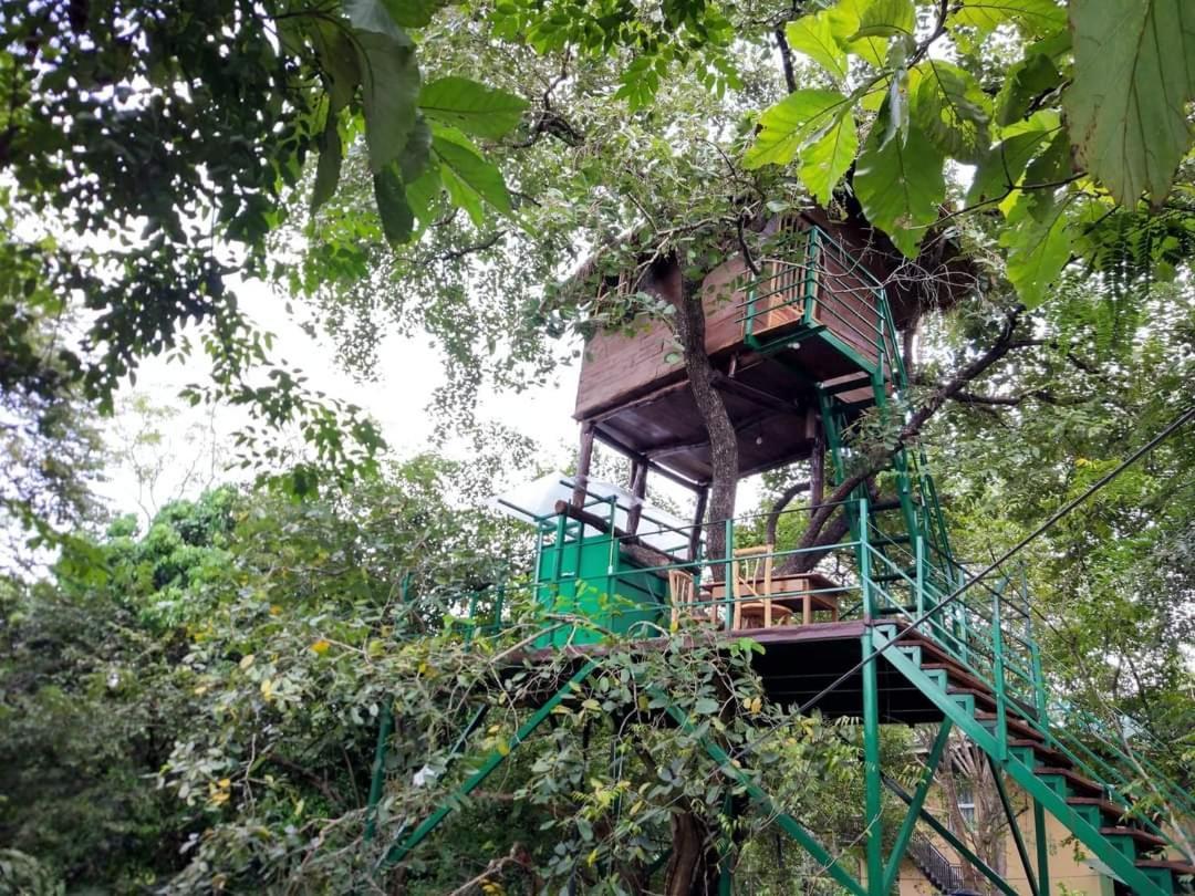 Wildescape Polonnaruwa Villa ภายนอก รูปภาพ