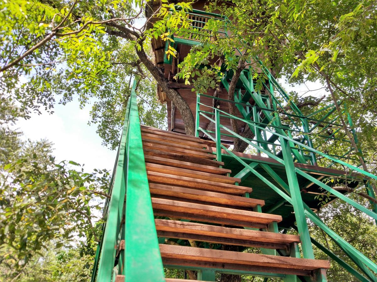 Wildescape Polonnaruwa Villa ภายนอก รูปภาพ