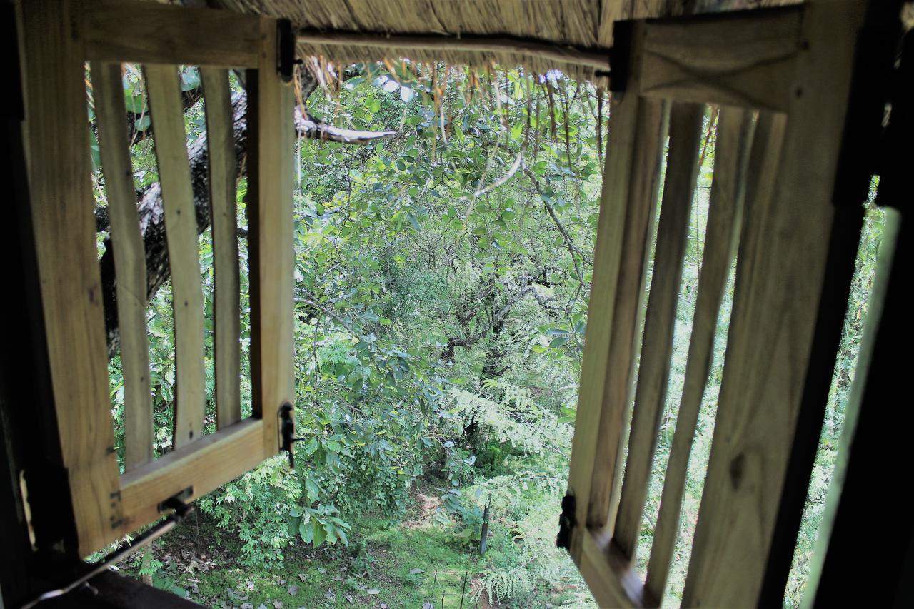Wildescape Polonnaruwa Villa ภายนอก รูปภาพ